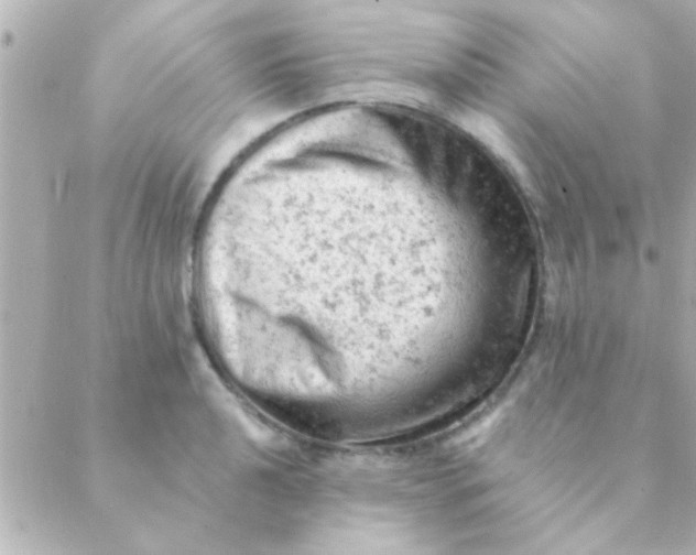 X0000088651040200706152002