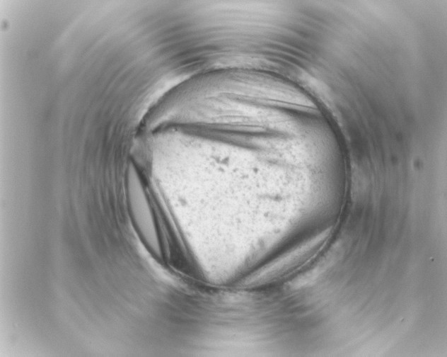 X0000088651041200706152002