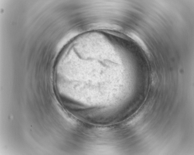 X0000088651043200706152002