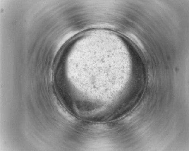 X0000088651044200706152002