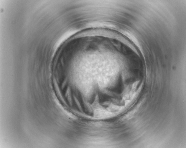 X0000088651045200706152002