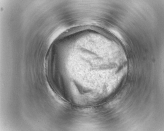 X0000088651047200706152002