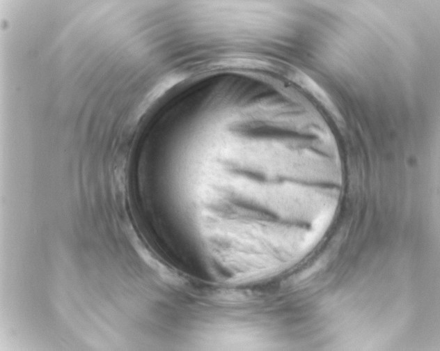 X0000088651049200706152002