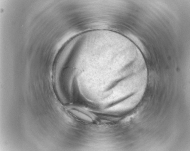 X0000088651051200706152002