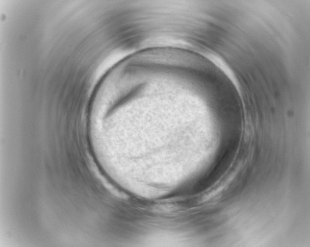 X0000088651053200706152002