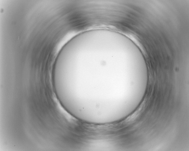 X0000088651054200706152003