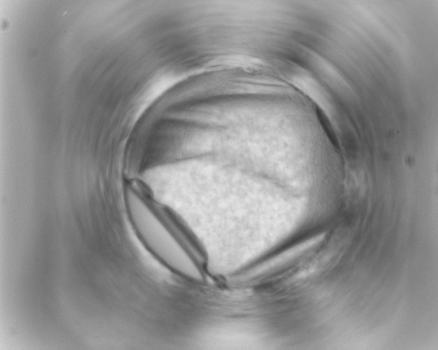 X0000088651055200706152003