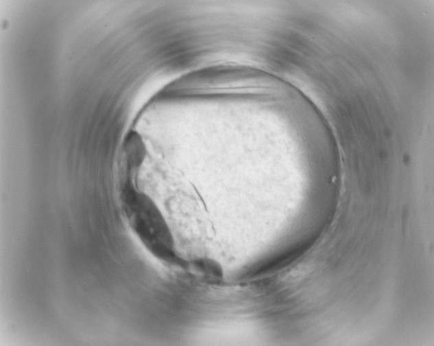 X0000088651056200706152003