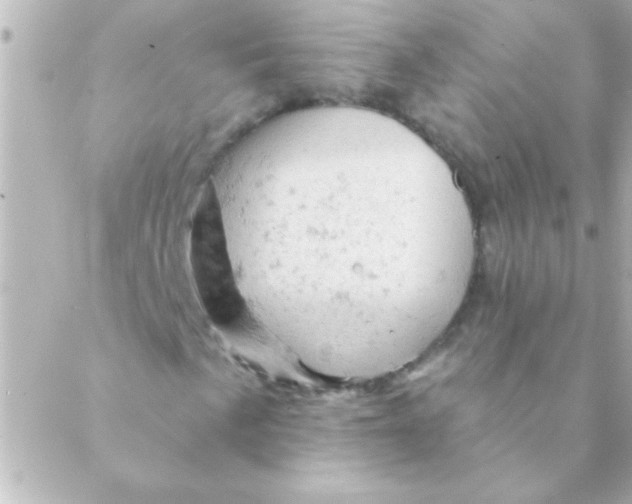 X0000088651057200706152002