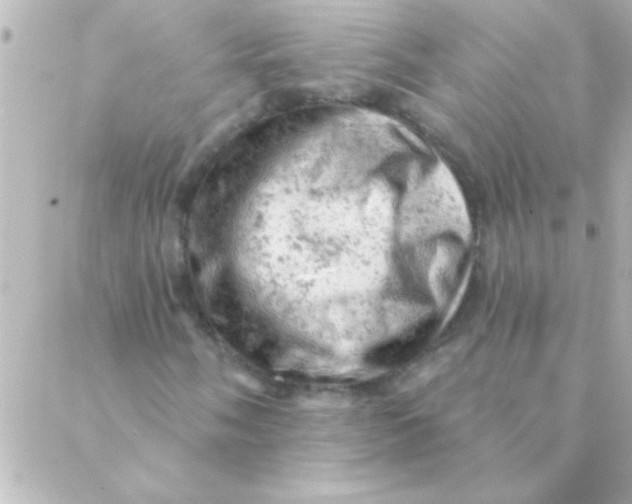 X0000088651058200706152002