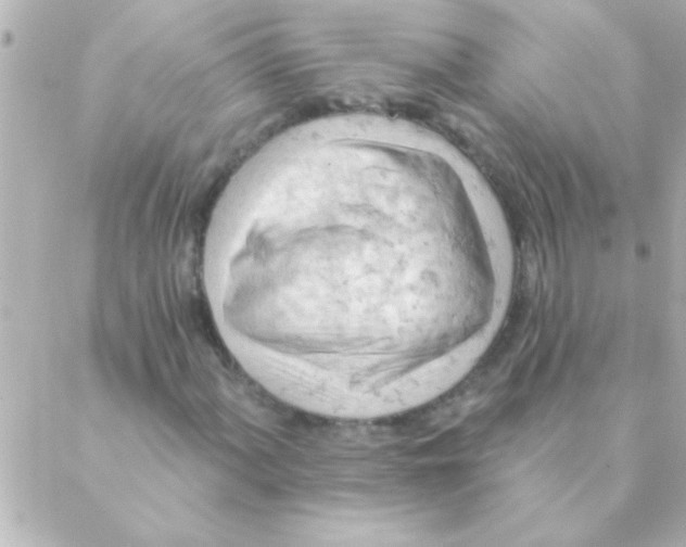 X0000088651060200706152002