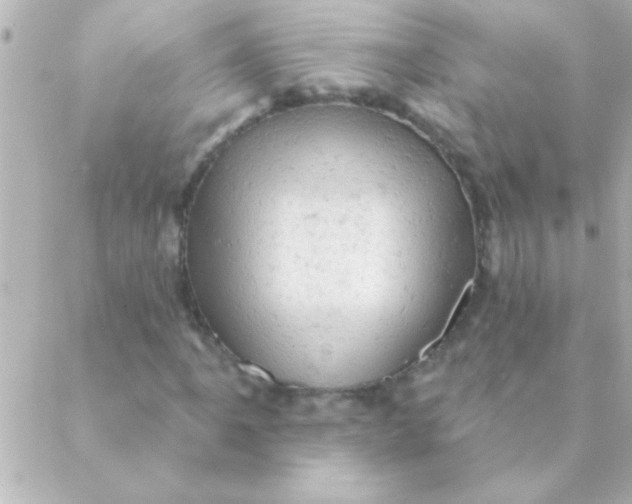 X0000088651061200706152002