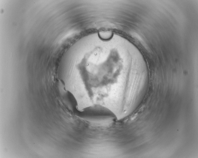 X0000088651063200706152002