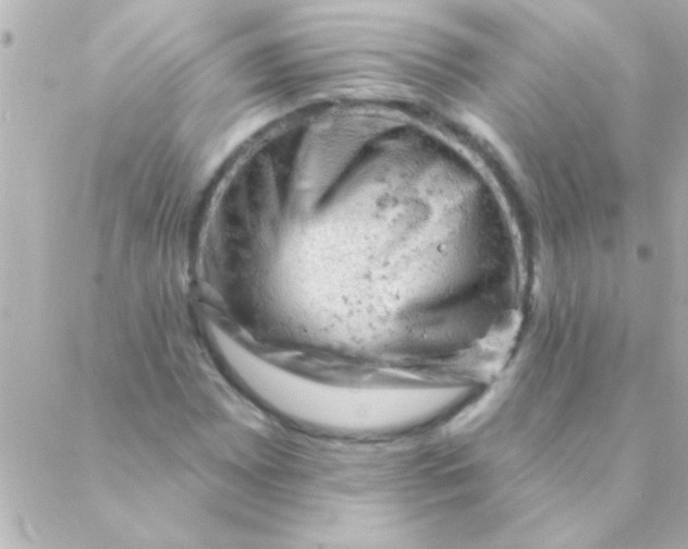 X0000088651065200706152002