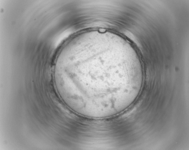 X0000088651067200706152002