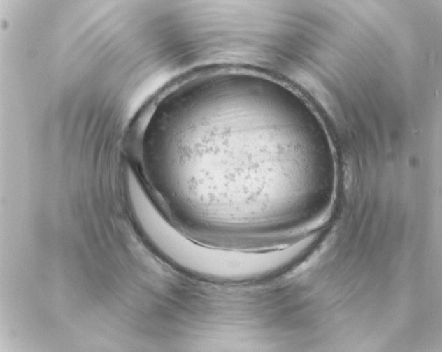 X0000088651069200706152002