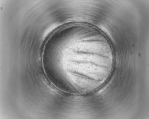 X0000088651070200706152002