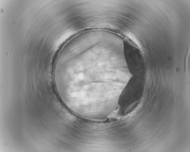 X0000088651071200706152002