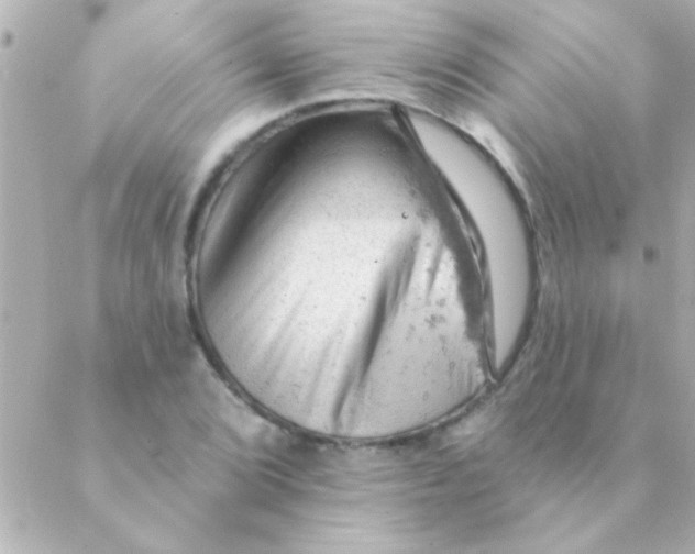 X0000088651072200706152002