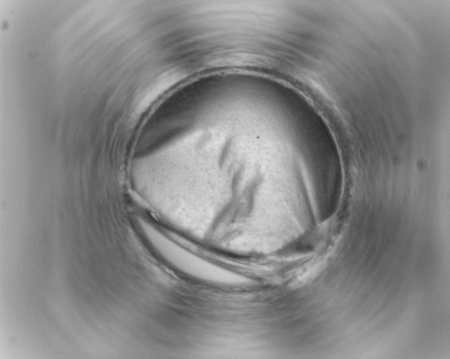 X0000088651073200706152002