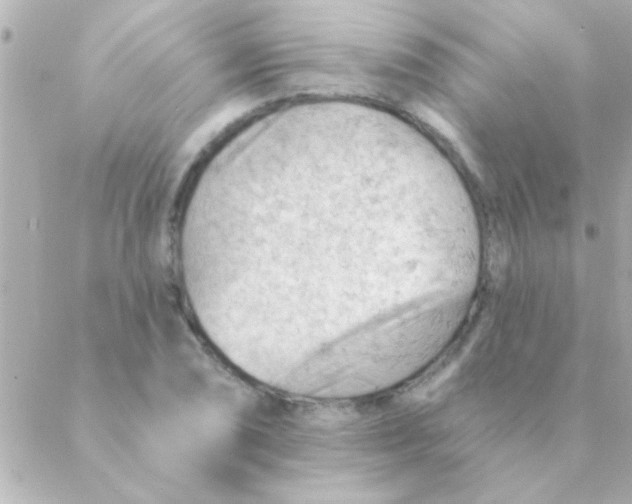 X0000088651074200706152001