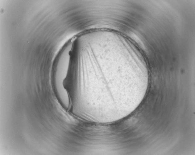 X0000088651076200706152001