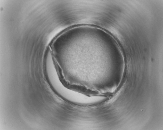 X0000088651077200706152001