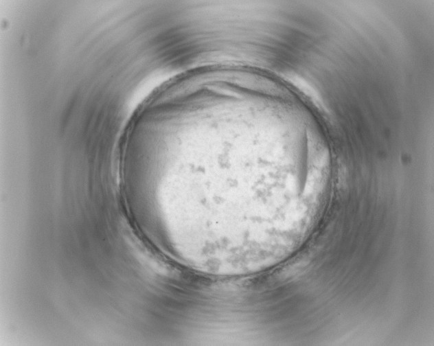 X0000088651078200706152001