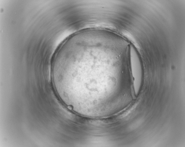 X0000088651079200706152001