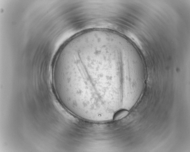 X0000088651080200706152001