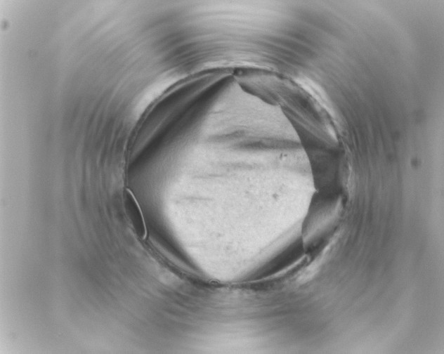 X0000088651081200706152001