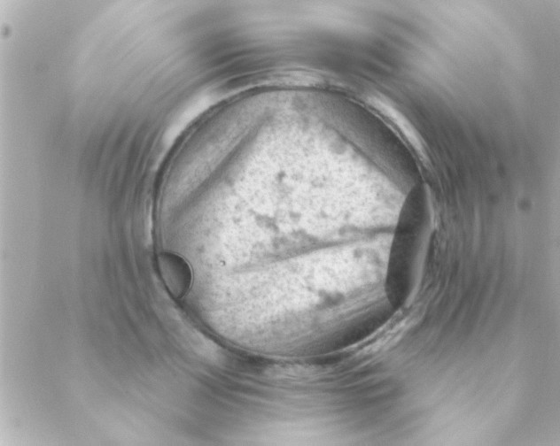 X0000088651083200706152001