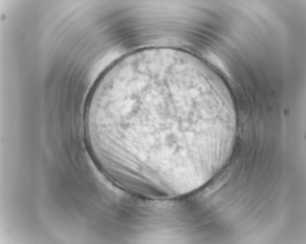 X0000088651087200706152001