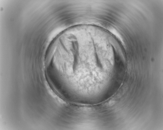 X0000088651088200706152001