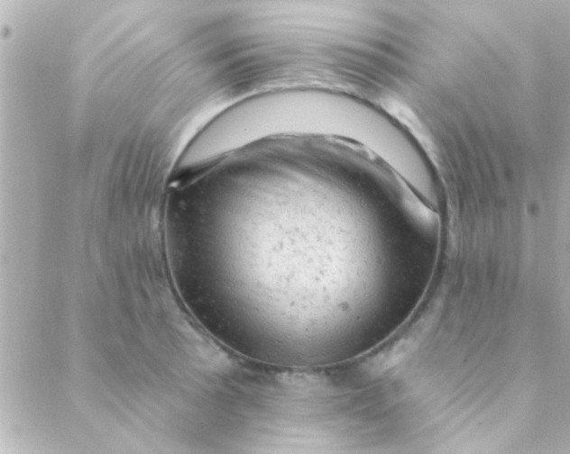 X0000088651089200706152001