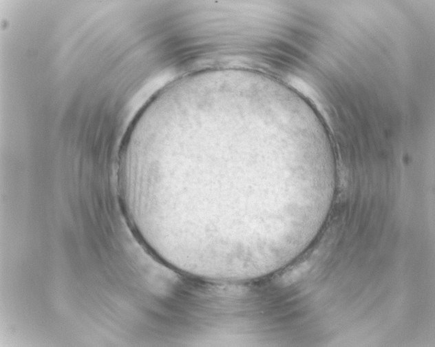 X0000088651090200706152001