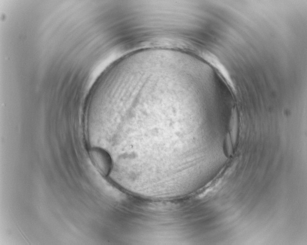 X0000088651091200706152001