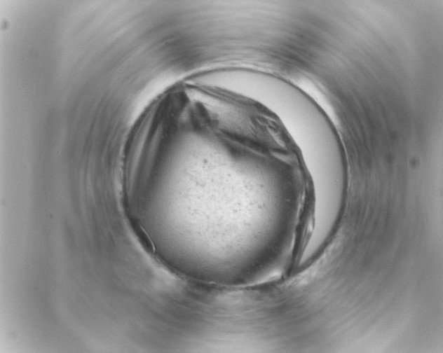 X0000088651093200706152001