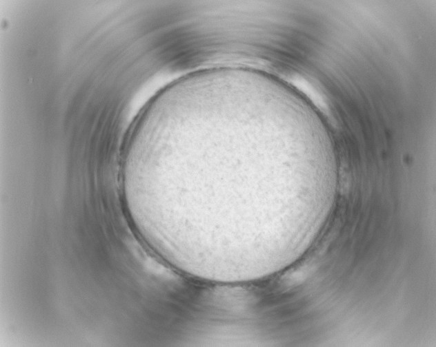 X0000088651094200706152001