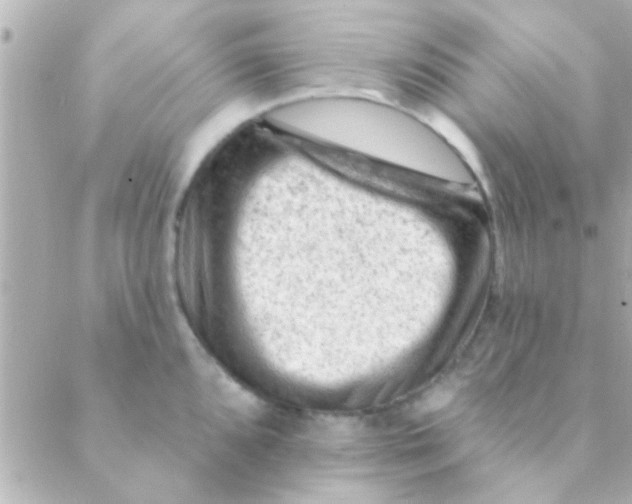 X0000088651096200706152001