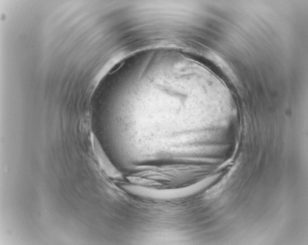 X0000088651097200706152001