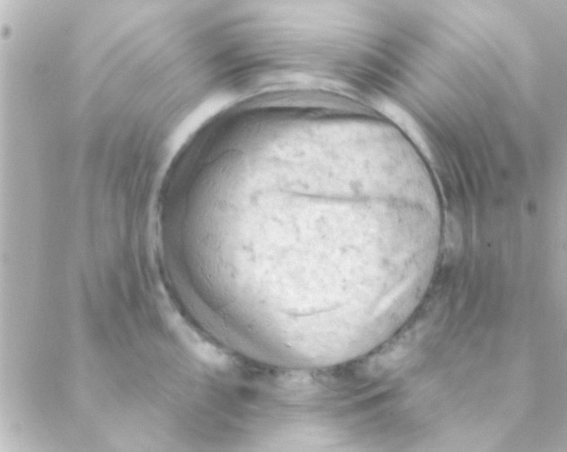 X0000088651098200706152001