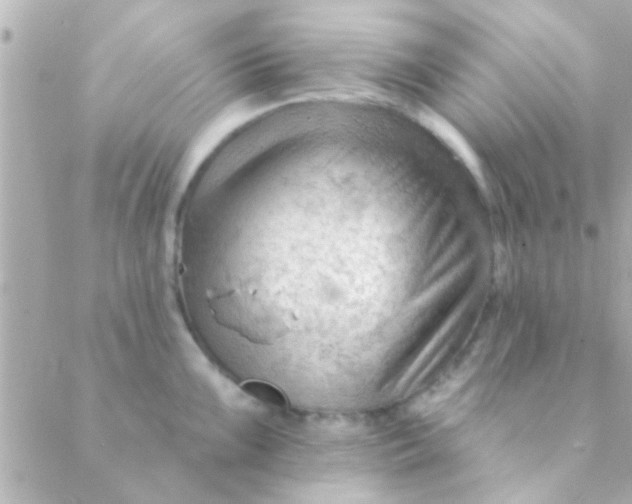 X0000088651099200706152001