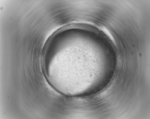 X0000088651100200706152001