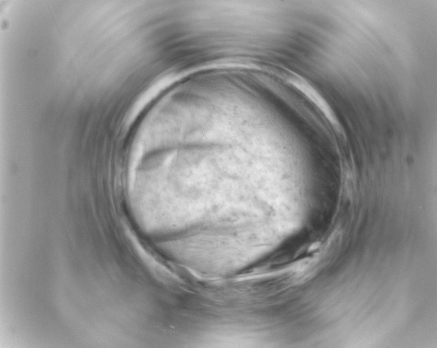 X0000088651101200706152001