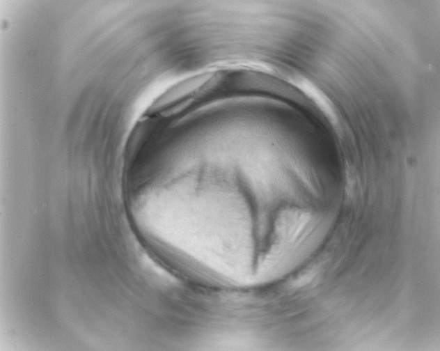 X0000088651102200706152001