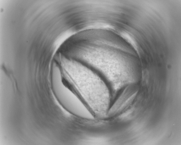 X0000088651103200706152001