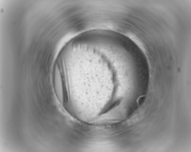 X0000088651104200706152001