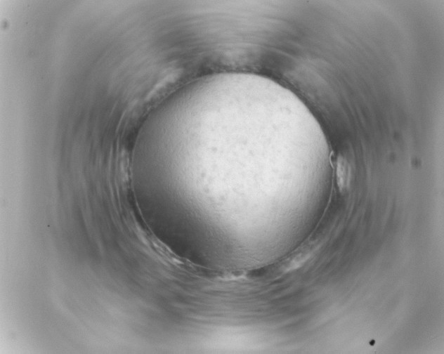 X0000088651107200706152000