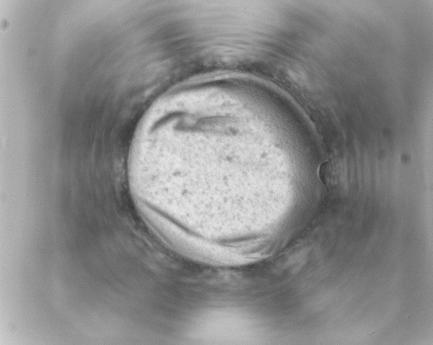 X0000088651109200706152000